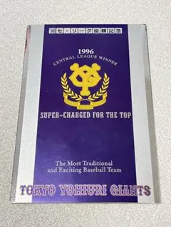 1996年 GIANTS 記念サイン入り レア 読売巨人軍1996 長嶋茂雄監督時代 選手サイン入り記念額縁