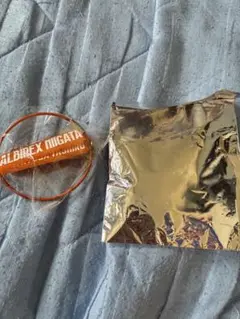 アルビレックス新潟 田代琉我 キーホルダー
