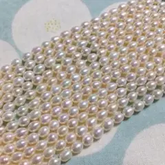 淡水ぱ テリヨシ！お上品なちゅうくらいのライス！1連 38cm前後！1連よ〜〜！