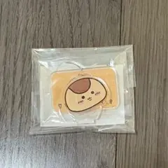 Item thumbnail for item 590e9b2c-34f3-4c89-b351-a573b17e24b1