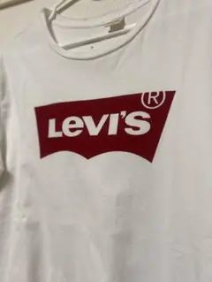 Item thumbnail for item 4c30fe81-4cd0-4dcf-ae8b-9348e82256ad