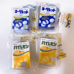 ヨーグレット&ハイレモン ミニチュアマスコットBC 全2種類2セット