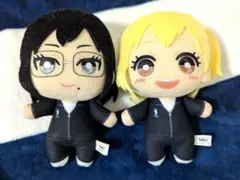 ハイキュー　ともぬい　清水　谷地　タグ無し　ぬいぐるみ