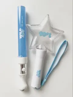 ※28日に出品終了。WILDBLUE ペンライト2本セット