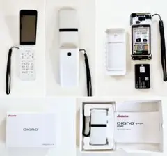 Item thumbnail for item 1d40325a-3e79-4932-9dd8-abd78fd24b24