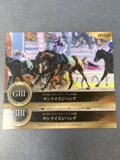 【二刀流】サンライズジパング【期間限定】 2025年最新】サンライズジパングの人気アイテム - メルカリ