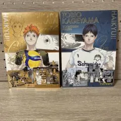 ハイキュー展 箔押しイラストカードコレクション 影山飛雄 日向翔陽 Vリーグ