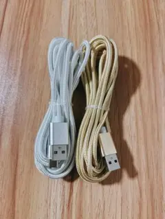 USB Type-C 充電ケーブル　3m 2本セット