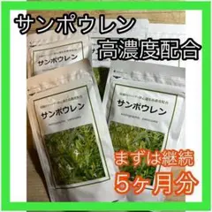 サンポウレン 120粒×5ヶ月分 奇跡のハーブ 高濃度サプリメント