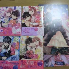 影の英雄の治癒係 1巻〜4巻全巻セット　アニメイト特典付き