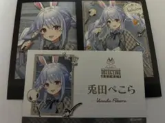 ホロライブ ぱしゃこれ 名刺風カード 兎田ぺこら 3枚セット