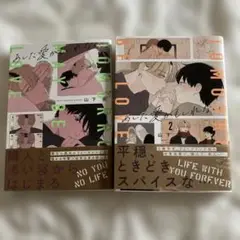 「あした愛かもしれない」2巻セット
