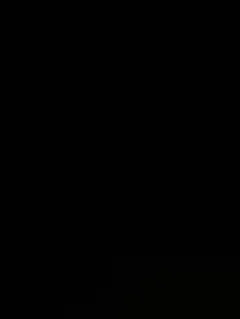 専用