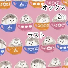 Item thumbnail for item aa036782-482e-49c7-a508-16b556fb027b