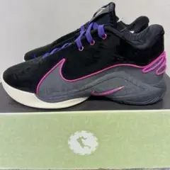 新品 NIKE レブロン 22 バスケットシューズ バッシュスニーカー 26 黒