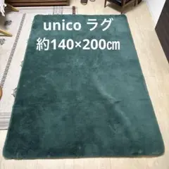 unico ウニコ アクセントラグ　グリーン　約140×200㎝