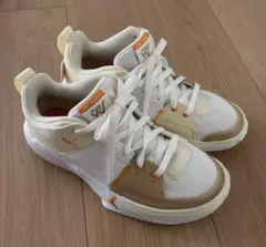 Item thumbnail for item 6e961f70-9fe4-4dee-99c1-c88e1a8bf612