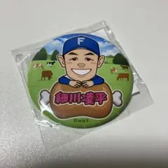 ファイターズ 北海道肉祭り 2025 細川凌平 缶バッチ