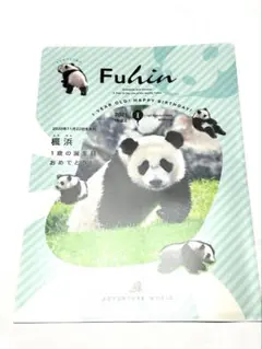 楓浜１歳誕生日記念　非売品クリアファイル