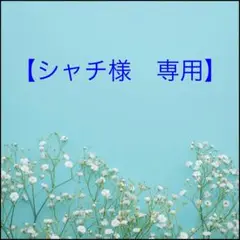 2025年最新】圭吾 アームカバーの人気アイテム - メルカリ