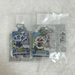 アイカツガチャガチャ だれでもアイドル活動アクリルチャーム2 セット 氷上スミレ