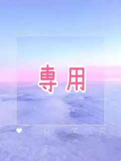 専用
