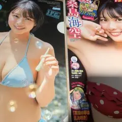 【新品同様/付録完備】ヤングチャンピオン烈　桑島海空　クリアファイル　応募券無し