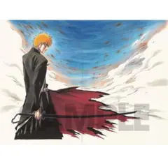 BLEACH額装高精細複製原画 No.1 <BLEACH EX.> 受注販売商品 BLEACH額装高精細複製原画 No.1 <BLEACH EX.> 受注販売商品