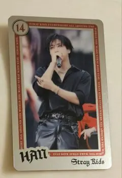 straykids ライブフォトカード dominATE　グッズ　ハン　トレカ