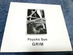 入手困難】GRIM『Psycho Sun』CD グリム JUN KONAGAYA