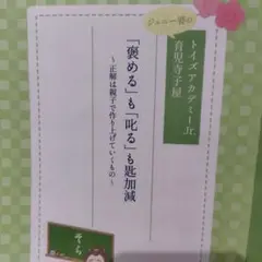 新品 未使用　知育　教材　ベビーパーク　トイズアカデミージュニア　スタートセット 公式】0歳からの幼児教室ベビーパーク|幼児教育・知能教育