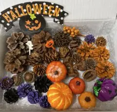 ドライフラワー※木ノ実 ハロウィンリース、パーツいろいろ