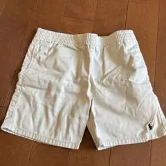 ポロ　ラルフ　6歳