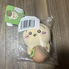 うさぎだらけくじ　D賞 マスコット(どんぐりDJ)