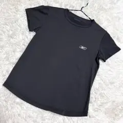Reebok✨美品　Tシャツ　サラサラ　ナイロン　ぴったりめ　グレー　（M）