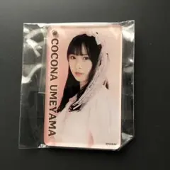 Item thumbnail for item d7b4ef22-772c-4e01-9ea9-bfc6c6d56475