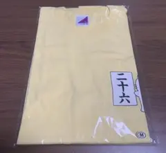 Item thumbnail for item 0730e631-d426-4516-93c2-1035d2cd2d55