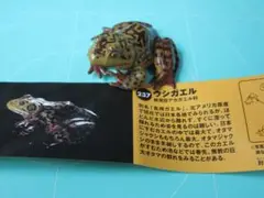 値下げ　海洋堂　チョコＱ日本の動物第１０弾　237ウシガエル