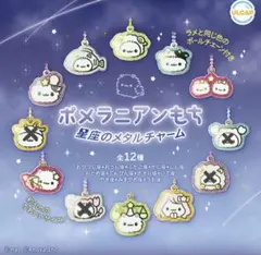 ポメラニアンもち 星座のメタルチャーム ふたご みずがめ座