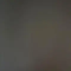 Item thumbnail for item c56c545b-d625-44f7-94f3-51e6c7400a8b