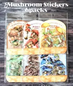 ステッカー　きのこ　6パック　PETシール　きのこシール　コラージュ素材