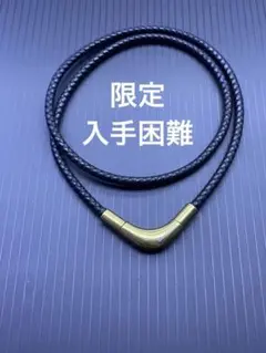 早い者勝ち！希少 レア 限定品 ファイテン ネックレス ゴールド