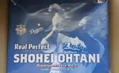 Item thumbnail for item 20c70e94-91ce-4167-a834-20fd3fb4e42b