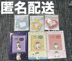 【 未使用 】アクリルカラビナ クリアカードケース セリア 各3種 コンプセット