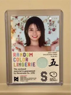 Item thumbnail for item 13e6afb1-4c35-4703-8867-6e0595212495