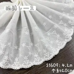 Item thumbnail for item f99b1473-cde0-43c1-a36c-9e8ae4176612
