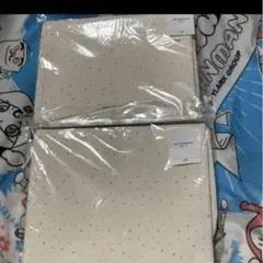 汚れ防止マット 2枚セット 約70×90cm スリーコインズ