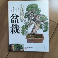 盆栽芸術-人- : 小林國雄の世界 アジア太平洋観光社　サイン本 超豪華本『盆栽芸術－人 小林國雄の世界』 — 写真家 竹田武史