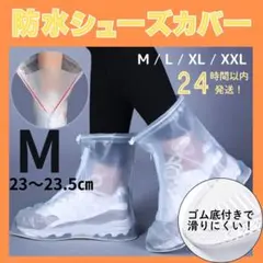 Item thumbnail for item 0325cb23-c295-4222-b96a-b5e82ed13a34