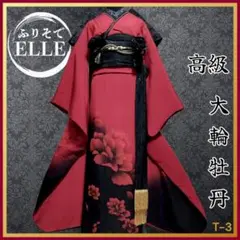 Item thumbnail for item dc9e054e-e62c-4ef1-936a-56e3bf7d45bc